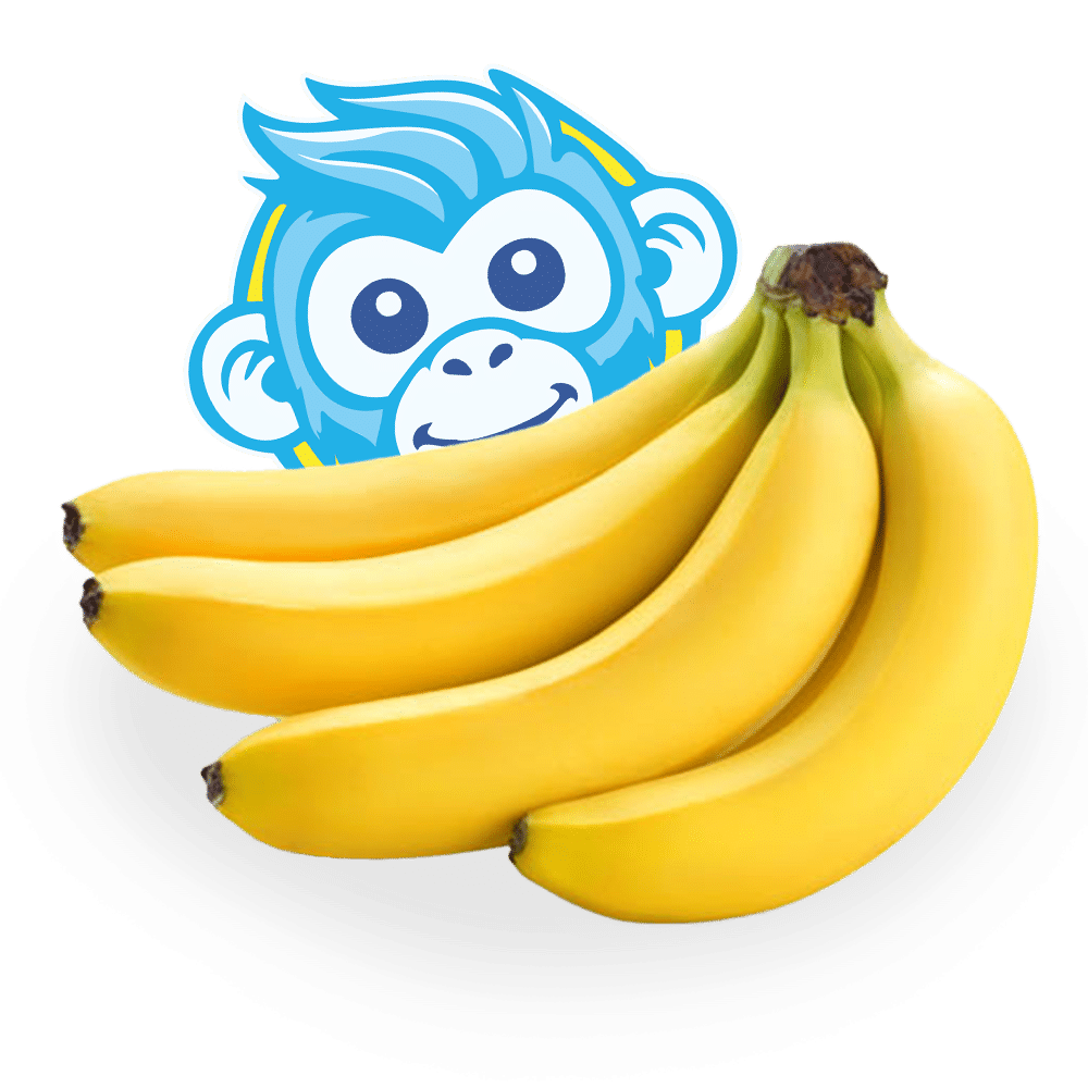 webmonkey - bananas about marketing